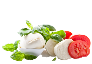 FRESH MOZZARELLA